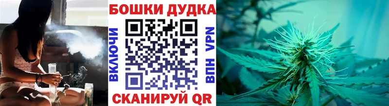 Меф Каргополь