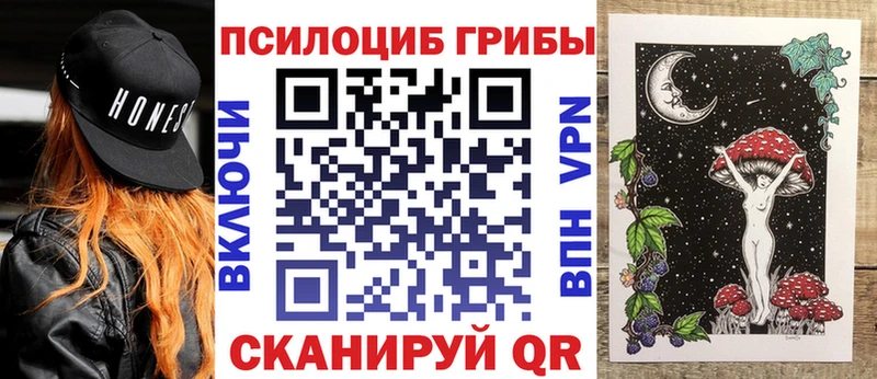 наркошоп  Каргополь  Галлюциногенные грибы Magic Shrooms 