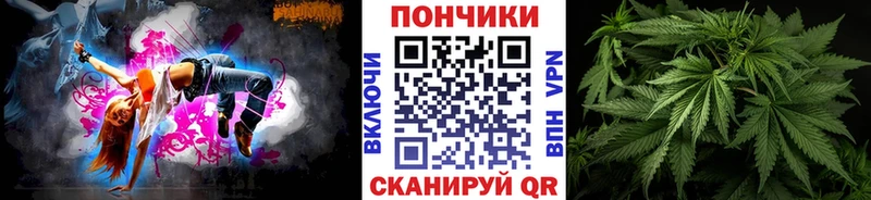 МЕГА зеркало  Каргополь  Бошки марихуана MAZAR  где купить наркоту 
